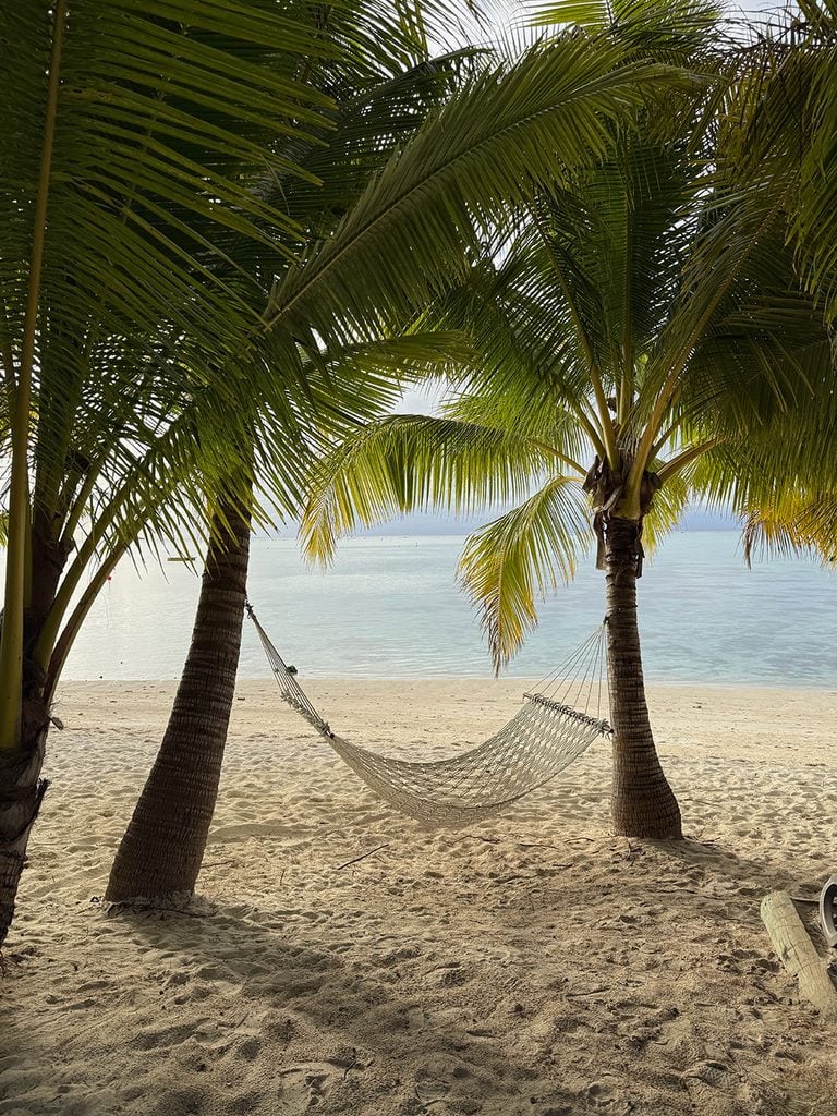 Beach hammock between palm trees at Tamanu