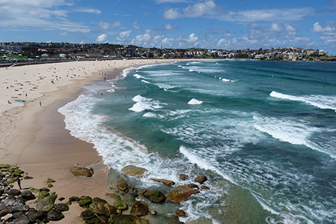 Bondi surf
