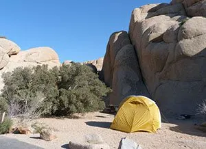 Camping Palm Springs