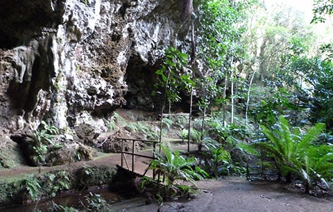 Queen Hortense cave Isle of Pines