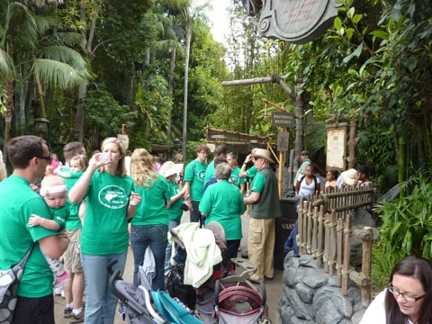 Team shirts Disneyland Disneyland coloured shirts