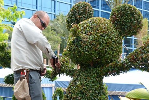 Mickey mouse hair cut Mickey mouse tree