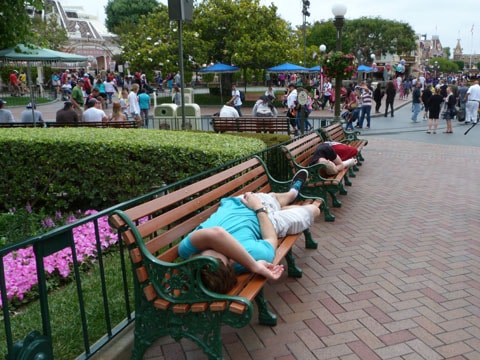 DM tired Sleeping at Disneyland