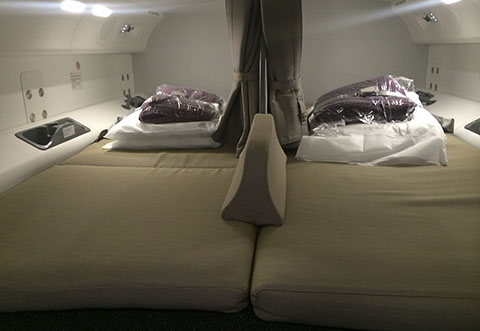 Dreamliner 787-9 pilot rest