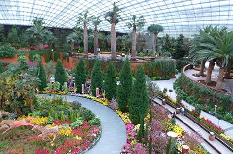 Gardens by the Bay flower dome