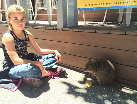 Rottnest quokker