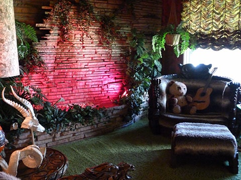 Elvis Jungle Room