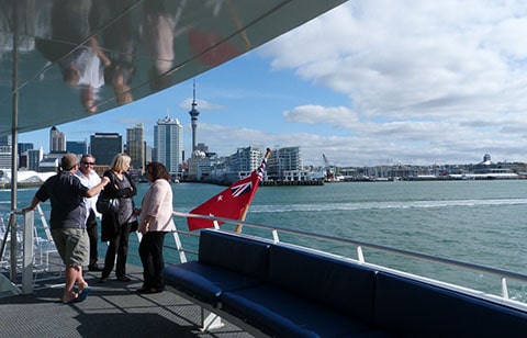 Auckland cruise