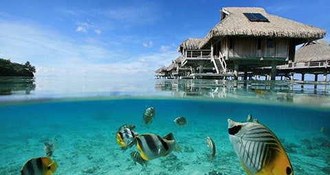 Hilton overwater bungalows Bora Bora