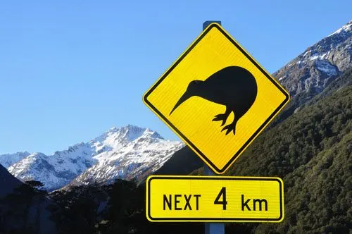 Visit New Zealand