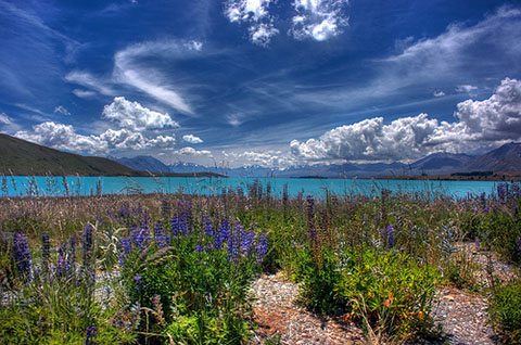 Mackenzie Country