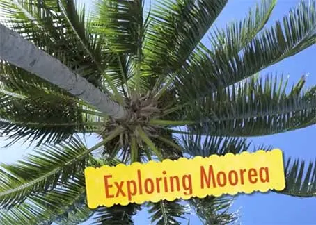Explore Moorea Tahiti