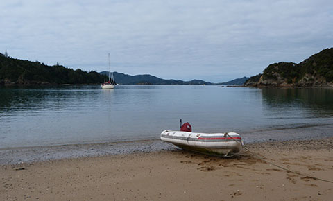 Moturua Bay of Islands
