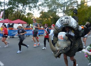 Tips for NY marathon