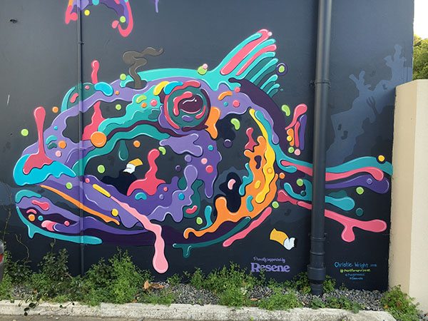 Napier mural art