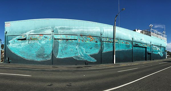 Napier mural art