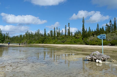 Natural Pool Isle of Pines