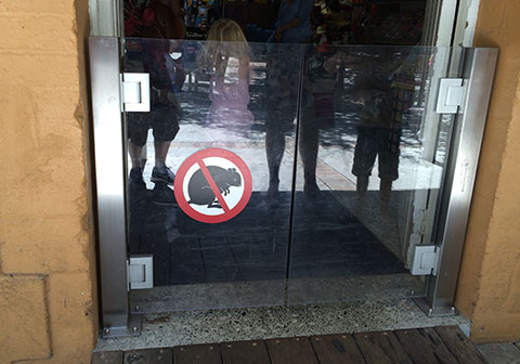 No quokkers!