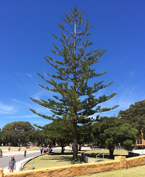Rottnest Island