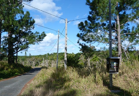 rural Pay phone Isle of Pines