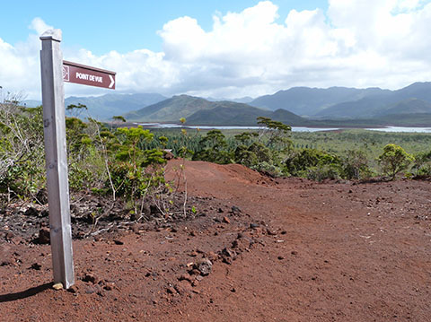 Blue River national park New Caledonia