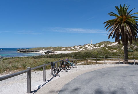 Rottnest bicycles