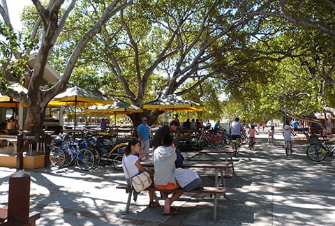 Rottnest shops