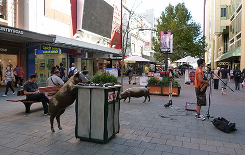 Rundle mall, Adelaide