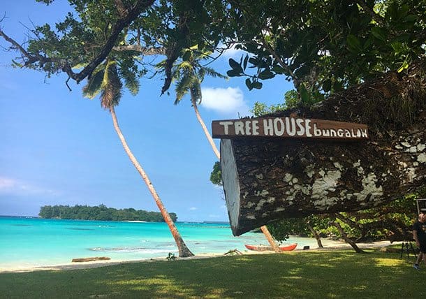 Santo treehouse