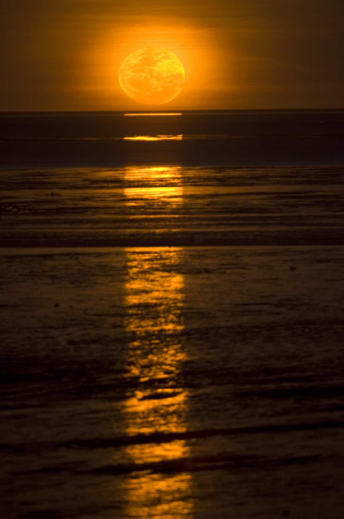 5 things to do in Broome