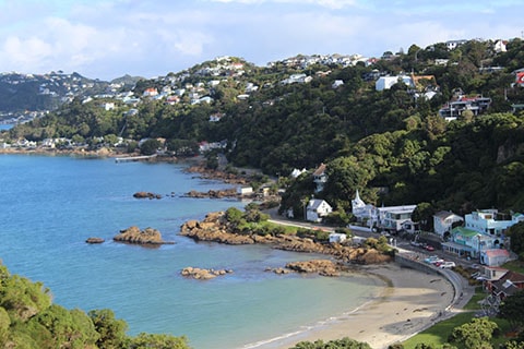 Scorching Bay Wellington